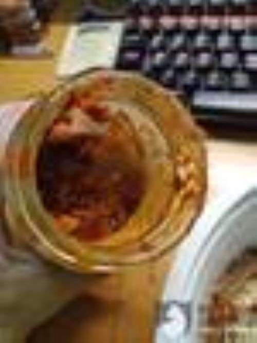 天貓吃出玻璃二