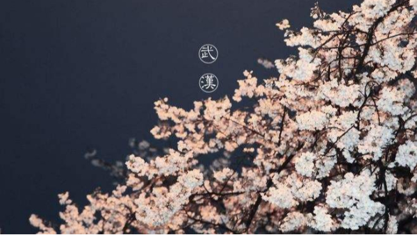 武漢，我們又見面了